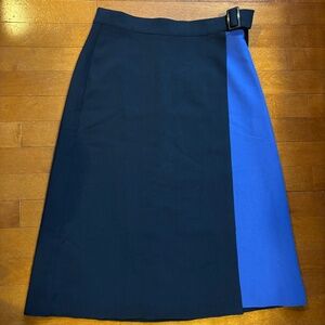 Ann Taylor Mid-Length Skirt